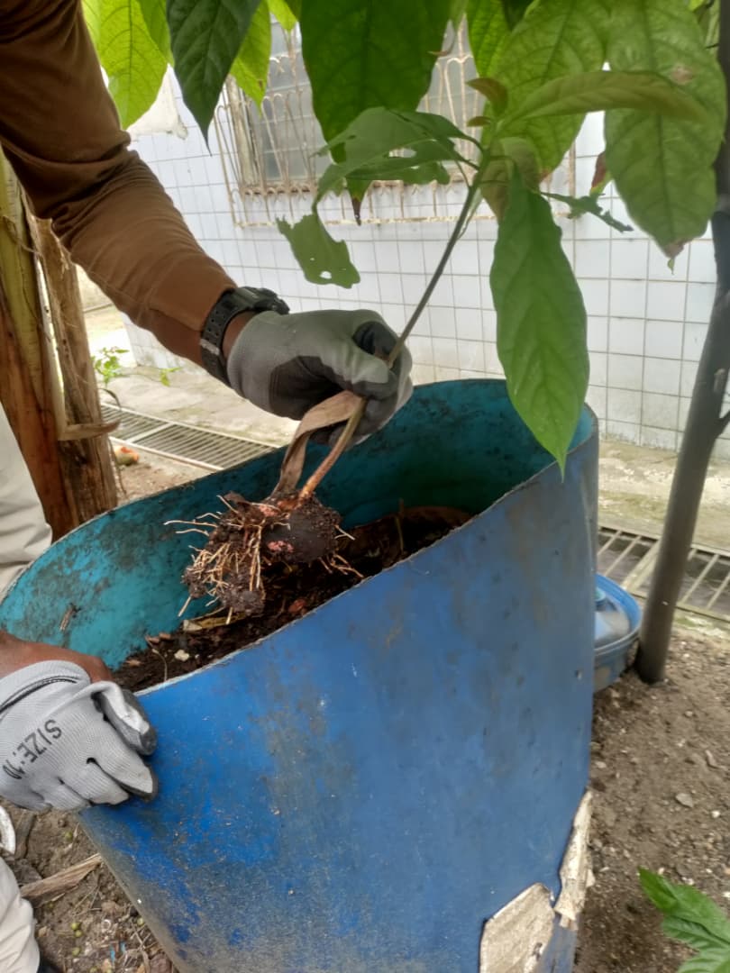 Les gestes de base du tri des déchets : de l’impact concret à la transmission dans nos espaces communs